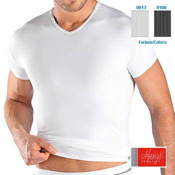 v Shiert 1/4 arm Sleeve VN Flash Basic ISAbodywear(ISAfp312104)